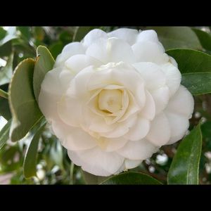 Meet your Posher, Ju